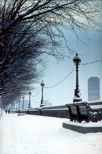 Westminster Snow